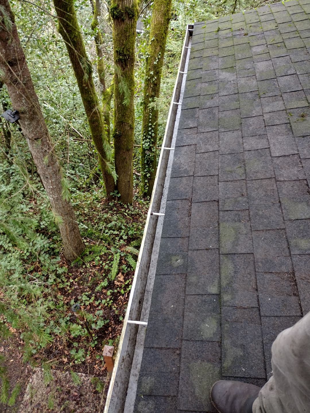 Clean roof and gutter without moss